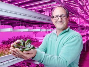 Robert Colangelo’s vertical indoor gardening company Green Sense Farms, Portage, uses 24 foot hydroponic tubs to grow pesticide and GMO free produce year-round.