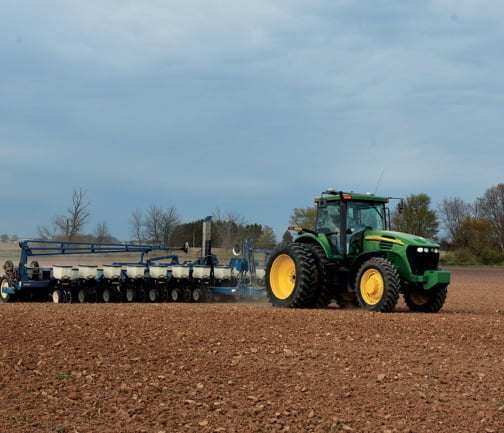 Agribusiness at local level